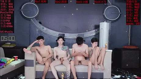 SX-001 webcam model stream image