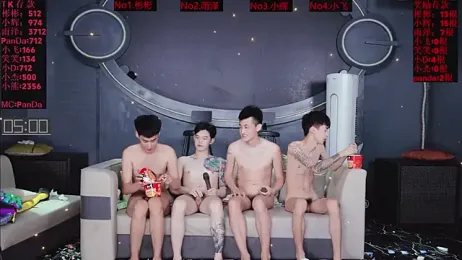 SX-001 webcam model stream image