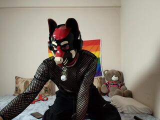 Alex Goodboy webcam model stream image