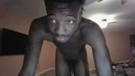dracogotti webcam model stream image