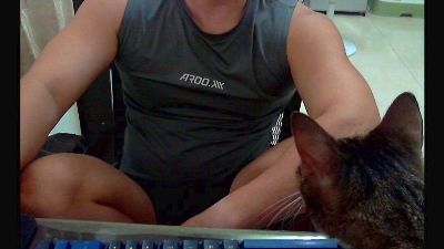 lQAQl webcam model stream image