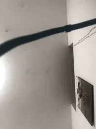 criss_zuri webcam model stream image