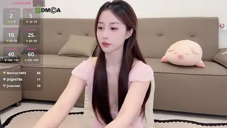 Lan-mei webcam model stream image