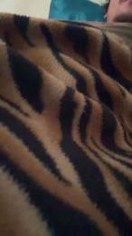 Toroduro22 webcam model stream image