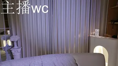RenZeng webcam model stream image