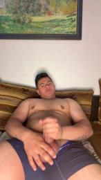 Vergateria webcam model stream image