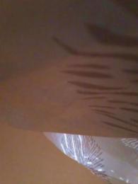 Machotexx_26 webcam preview