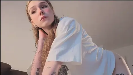 poli_blink webcam model stream image