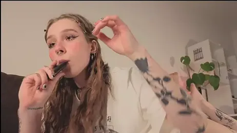 poli_blink webcam model stream image