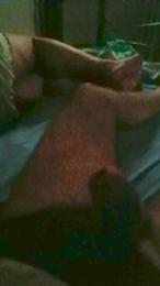 maxpom21 webcam model stream image