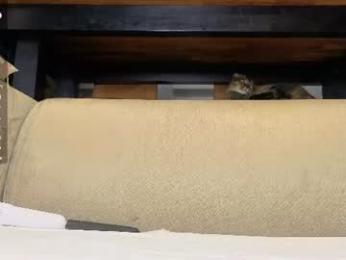ardeliacarhart webcam model stream image