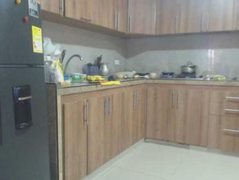 flacapaola11 webcam model stream image