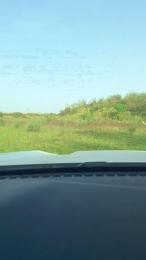 Gerontofilia webcam model stream image