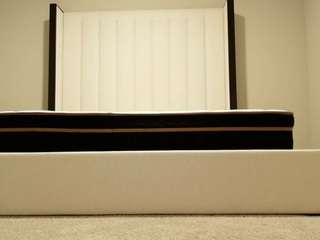 briannabrave webcam camsoda model stream image