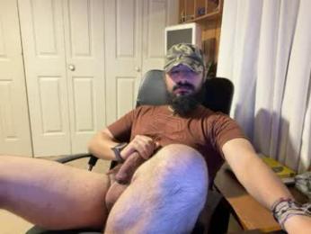 1ui5 webcam model stream image