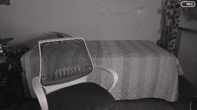 Nicolasrodrii webcam model stream image
