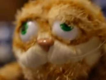 rndmzd webcam model stream image