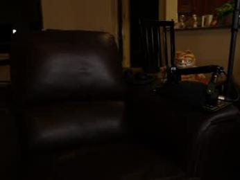 rndmzd webcam model stream image