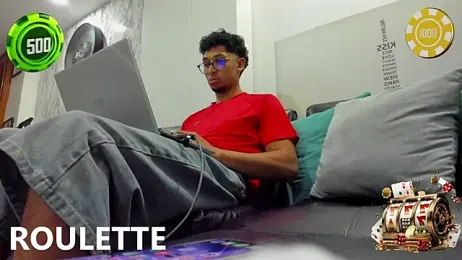 toritoga webcam model stream image