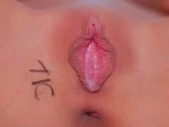 vesia webcam model stream image