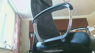 flugwespe2 webcam model stream image