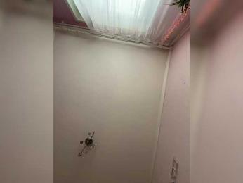 SHAWTY420 webcam model stream image