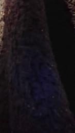 Culosexy187 webcam cam4 model stream image