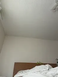 Ashleythelatinaa webcam model stream image