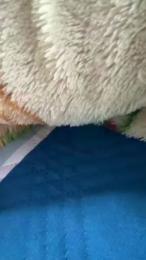 erik_conrad webcam model stream image