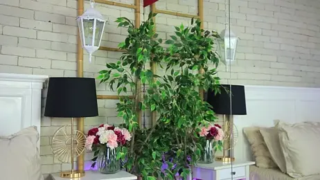 EmillyBronte webcam model stream image