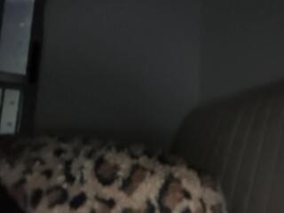 Walker Brown webcam model stream image