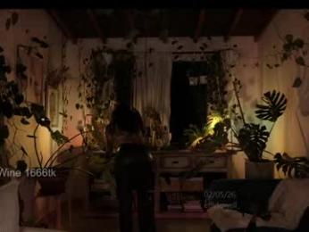 effylowell_ webcam model stream image
