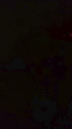 elleblue_sexy webcam model stream image