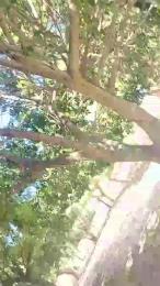 juanreyesx webcam model stream image
