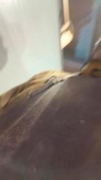 jeurs1 webcam model stream image