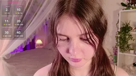 LeraKit webcam model stream image