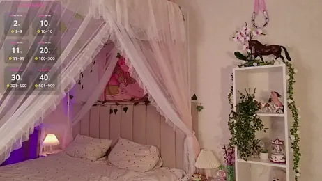 LeraKit webcam model stream image