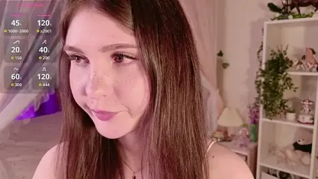 LeraKit webcam model stream image