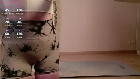 LeraKit webcam model stream image