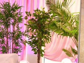 RosalieFleur webcam bongacams model stream image
