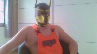 GelberBengel2ES webcam cam4 model stream image