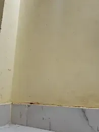 Teri_lella webcam model stream image