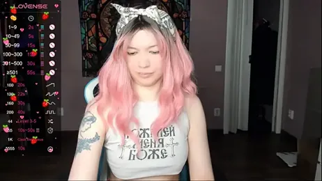 Project_hisoka webcam model stream image