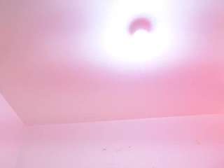 greatnipplesxxx webcam camsoda model stream image