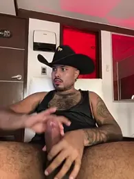 PapiStan webcam model stream image