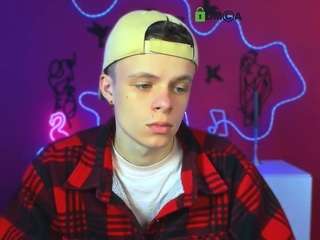 veldi-to webcam model stream image