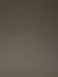 controlplay webcam model stream image