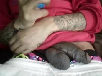 bertdollaz757 webcam model stream image