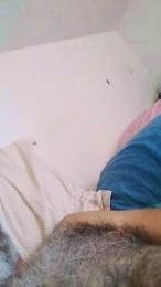 Zioroby webcam model stream image