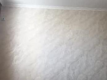 stephanieseidt webcam chaturbate model stream image